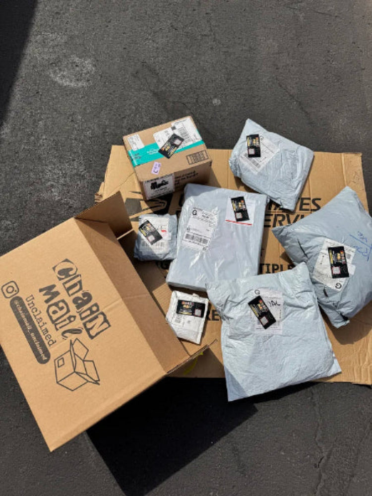 A pile of assorted packages, including a large brown cardboard box labeled 'Chase's Mail' and several light gray plastic shipping mailers with shipping labels, arranged on top of a brown cardboard box on an asphalt surface.
